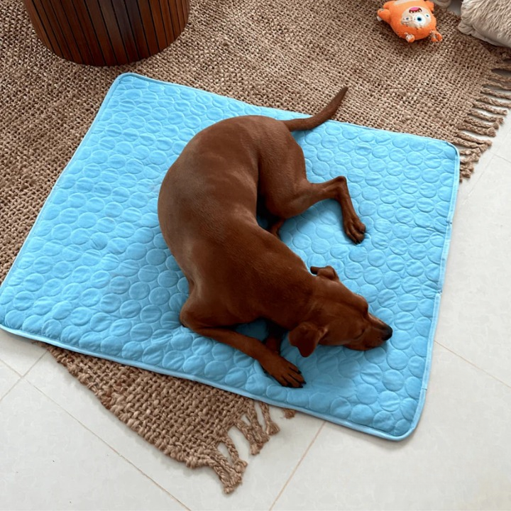 CoolPaws | Kølemåtte til hunde (1+1 GRATIS)
