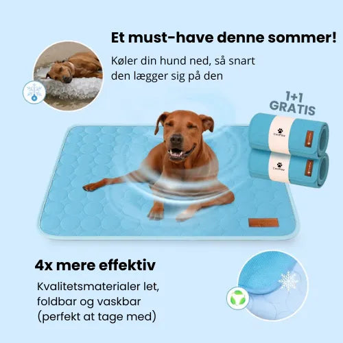 CoolPaws | Kølemåtte til hunde (1+1 GRATIS)