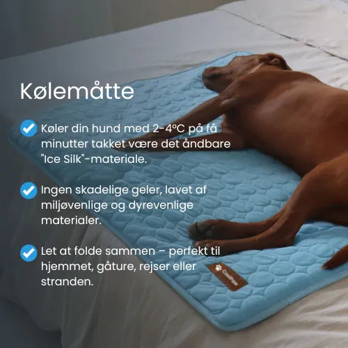 CoolPaws | Kølemåtte til hunde (1+1 GRATIS)