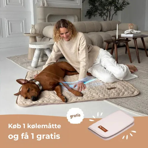 CoolPaws | Kølemåtte til hunde (1+1 GRATIS)