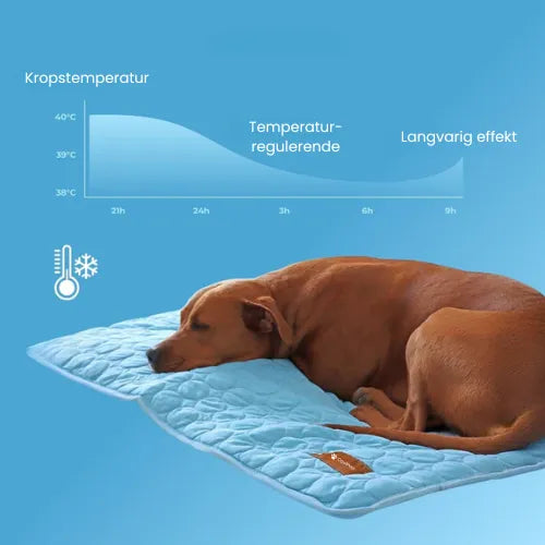 CoolPaws | Kølemåtte til hunde (1+1 GRATIS)