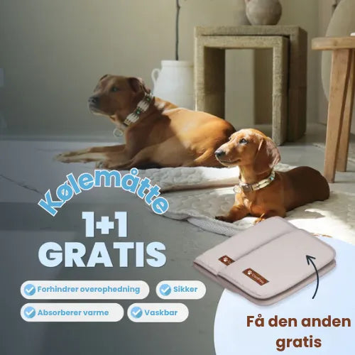 CoolPaws | Kølemåtte til hunde (1+1 GRATIS)