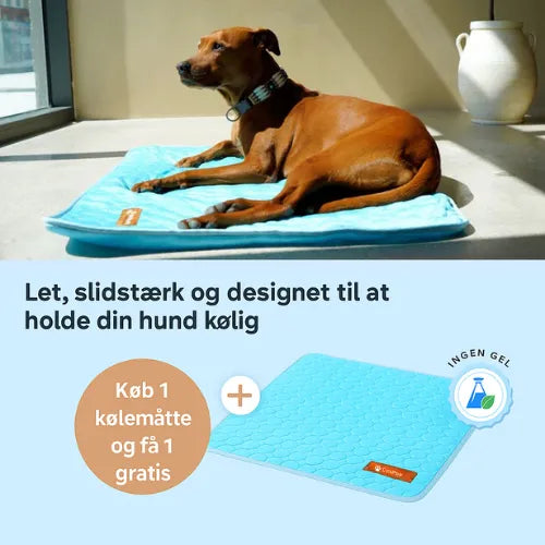 CoolPaws | Kølemåtte til hunde (1+1 GRATIS)