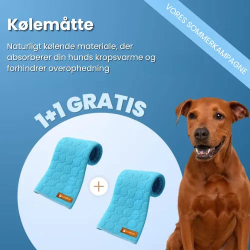 CoolPaws | Kølemåtte til hunde (1+1 GRATIS)