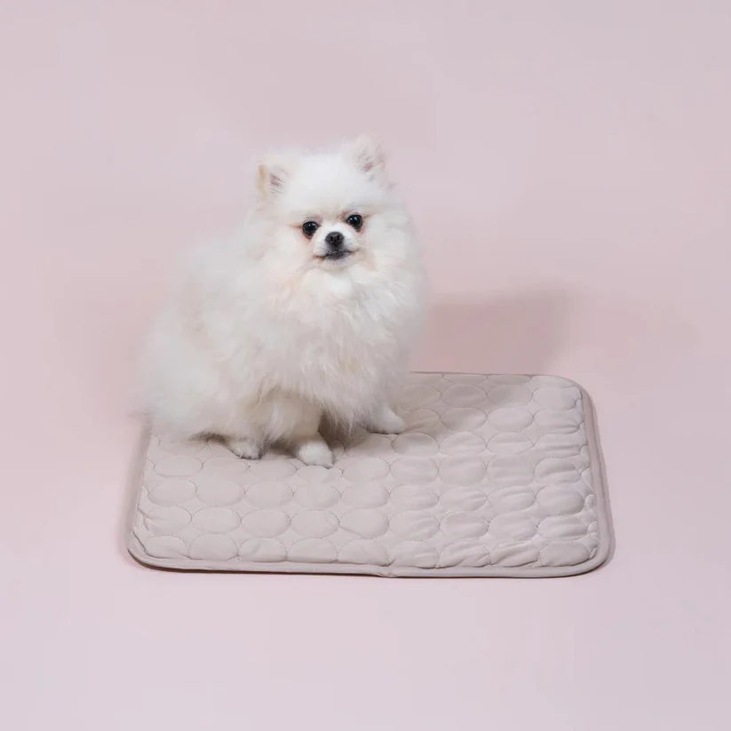 CoolPaws | Kølemåtte til hunde (1+1 GRATIS)