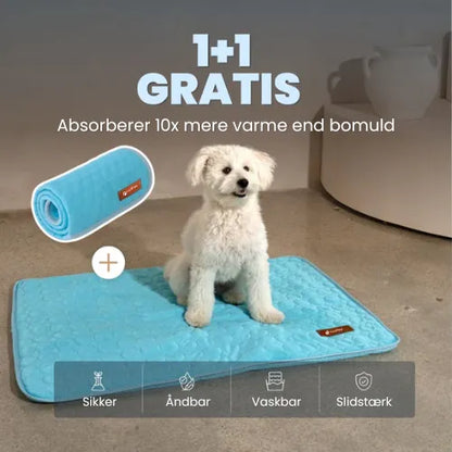 CoolPaws | Kølemåtte til hunde (1+1 GRATIS)